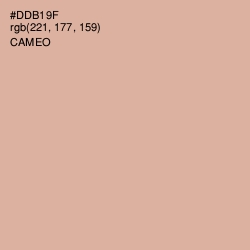 #DDB19F - Cameo Color Image