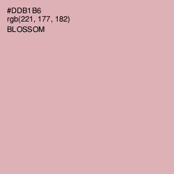 #DDB1B6 - Blossom Color Image