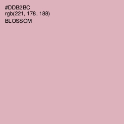 #DDB2BC - Blossom Color Image