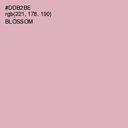 #DDB2BE - Blossom Color Image