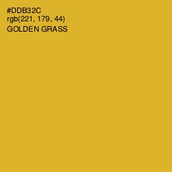 #DDB32C - Golden Grass Color Image