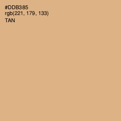 #DDB385 - Tan Color Image