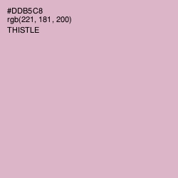 #DDB5C8 - Thistle Color Image