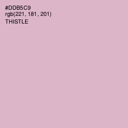 #DDB5C9 - Thistle Color Image