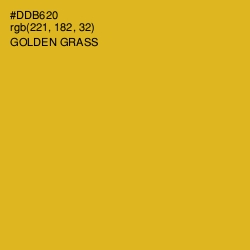 #DDB620 - Golden Grass Color Image