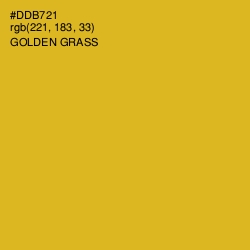 #DDB721 - Golden Grass Color Image