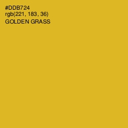 #DDB724 - Golden Grass Color Image