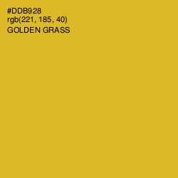 #DDB928 - Golden Grass Color Image