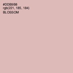 #DDB9B8 - Blossom Color Image