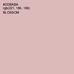 #DDBABA - Blossom Color Image