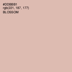 #DDBBB1 - Blossom Color Image