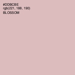 #DDBCBE - Blossom Color Image