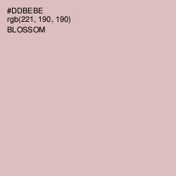 #DDBEBE - Blossom Color Image