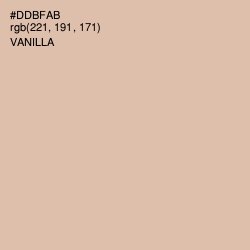 #DDBFAB - Vanilla Color Image