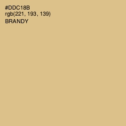 #DDC18B - Brandy Color Image
