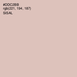 #DDC2BB - Sisal Color Image