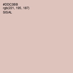 #DDC3BB - Sisal Color Image