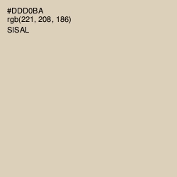 #DDD0BA - Sisal Color Image