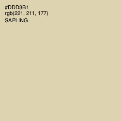 #DDD3B1 - Sapling Color Image