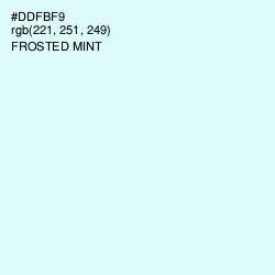 #DDFBF9 - Frosted Mint Color Image