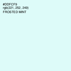 #DDFCF9 - Frosted Mint Color Image