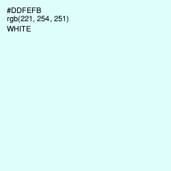 #DDFEFB - Frosted Mint Color Image