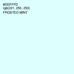 #DDFFFD - Frosted Mint Color Image