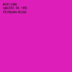 #DE1EB9 - Persian Rose Color Image