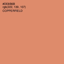 #DE8B6B - Copperfield Color Image