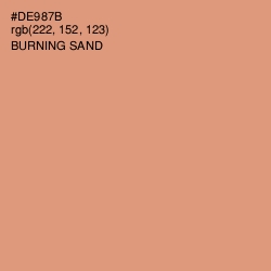 #DE987B - Burning Sand Color Image