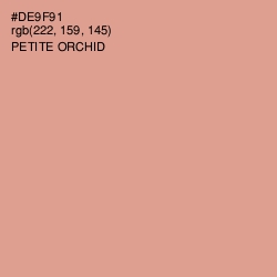 #DE9F91 - Petite Orchid Color Image