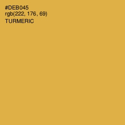 #DEB045 - Turmeric Color Image