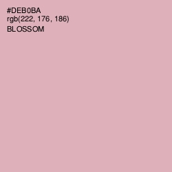 #DEB0BA - Blossom Color Image