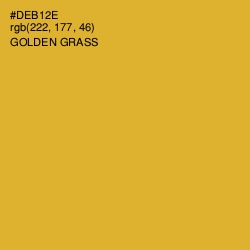 #DEB12E - Golden Grass Color Image