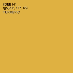 #DEB141 - Turmeric Color Image