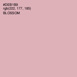 #DEB1B9 - Blossom Color Image