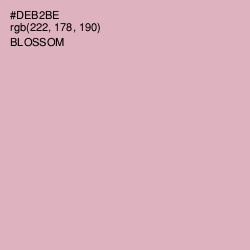 #DEB2BE - Blossom Color Image