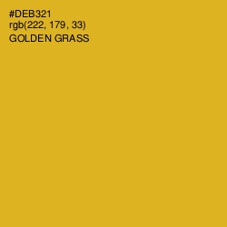 #DEB321 - Golden Grass Color Image