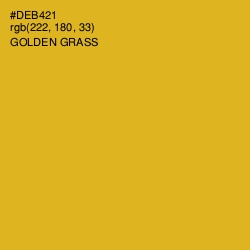 #DEB421 - Golden Grass Color Image