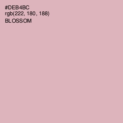 #DEB4BC - Blossom Color Image
