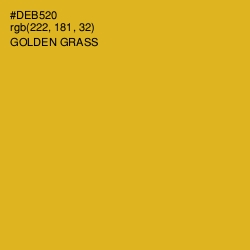 #DEB520 - Golden Grass Color Image