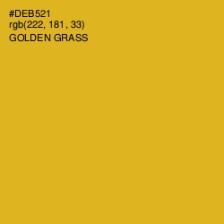#DEB521 - Golden Grass Color Image