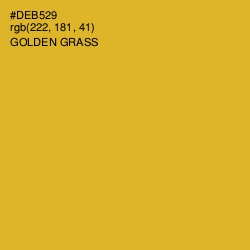 #DEB529 - Golden Grass Color Image