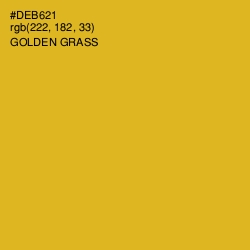 #DEB621 - Golden Grass Color Image
