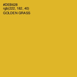 #DEB628 - Golden Grass Color Image