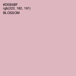 #DEB6BF - Blossom Color Image
