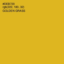 #DEB720 - Golden Grass Color Image