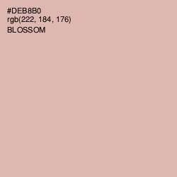 #DEB8B0 - Blossom Color Image