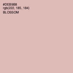 #DEB9B8 - Blossom Color Image