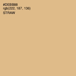#DEBB88 - Straw Color Image